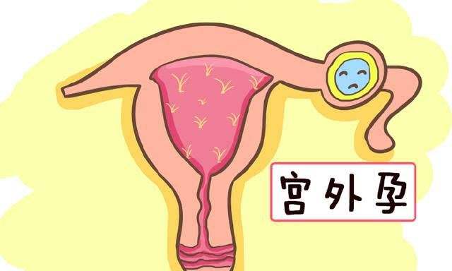 输卵管堵塞做试管能怀孕吗女性成功率多少