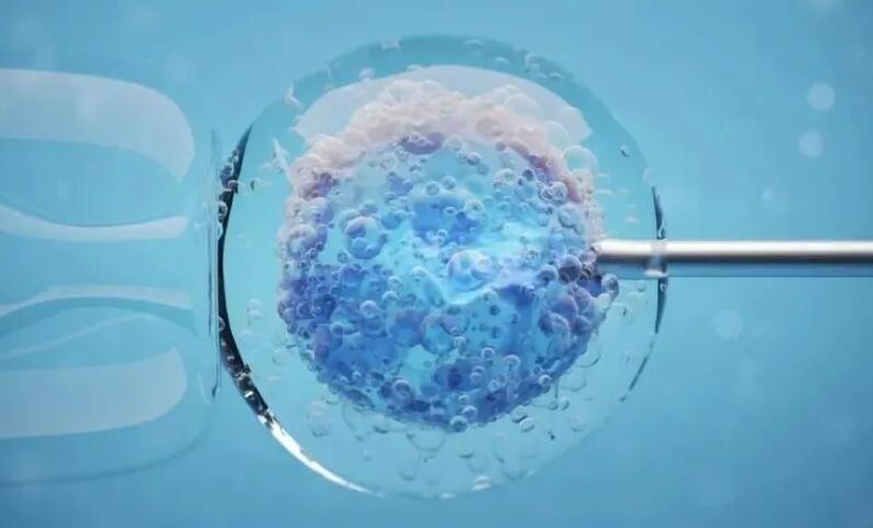 女性在试管婴儿移植前偶尔熬夜对胚胎着床有影响吗