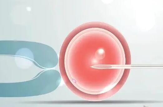 冻胚解冻后会出现降级，但大多数情况仍能移植成功