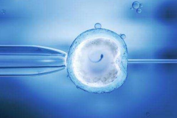 试管婴儿受精卵保存多久内附保存时间介绍