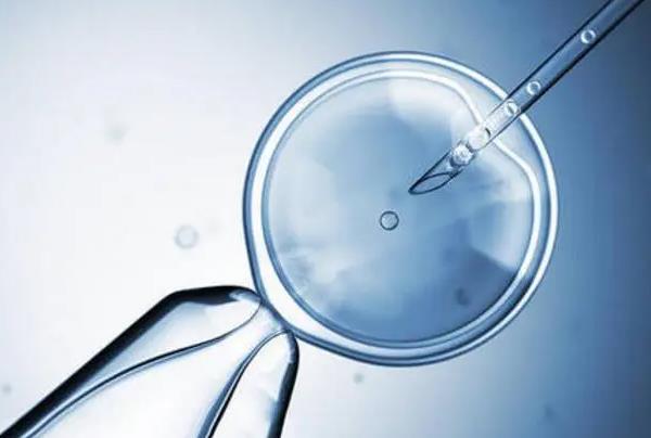 试管婴儿囊胚的成功率有多高，第三代试管中筛选胚胎的成本