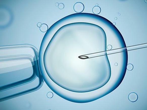 为什么多囊卵巢患者降调两个月后基础卵泡变少了呢