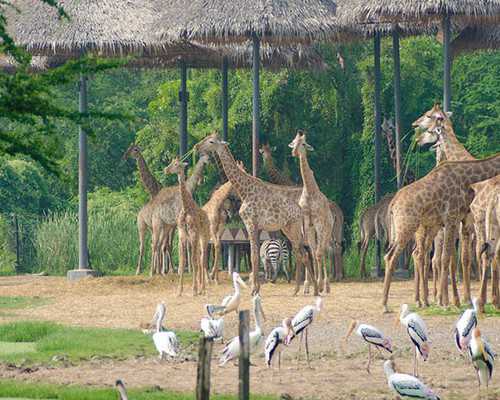 吉林二胎奖励政策细则？2026最新吉林二胎国家奖励政策？