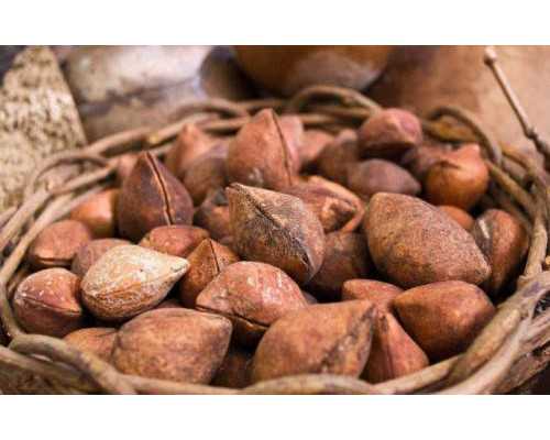 2026河北三代借卵选性别私立试管医院排名？附详细医院介绍？