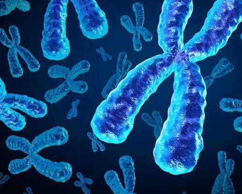 2026年昆明三代借卵试管包男孩多少钱？十五万够吗？