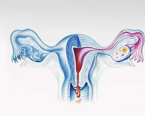 试管婴儿准备前的新冠疫苗接种