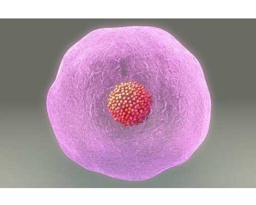 北京代怀孕口碑高,北京试管婴儿三代需要多少钱，公司收费9419元