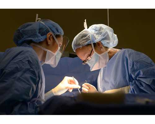 北京最便宜代孕价格,2026年北京孕前检查免费政策中是如何规定的?