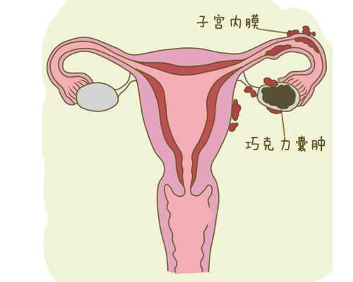 2026合肥做三代试管指定性别要花多少钱？十五万够吗？