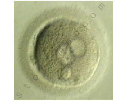 【北京三代供卵试管医院排名】北京做试管全套费用大概是多少