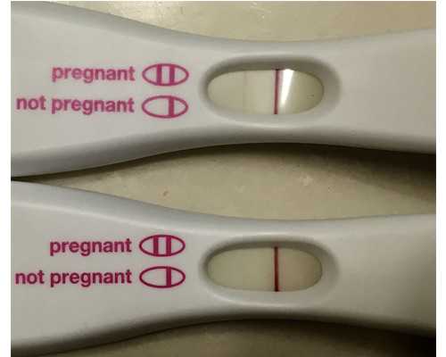 北京协和医院试管成功率多高？北京协和医院供卵试管的成功率怎样?