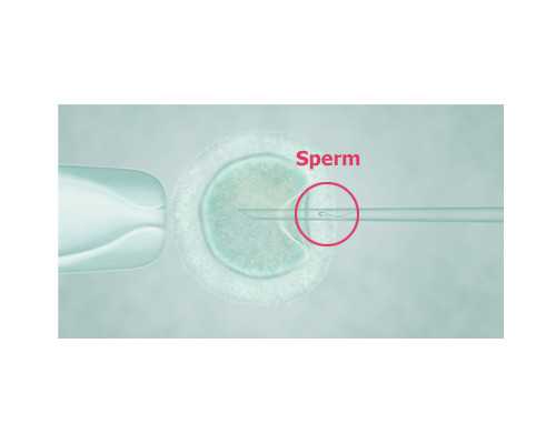 2026大连妇幼保健院试管婴儿导航（附费用及成功率）