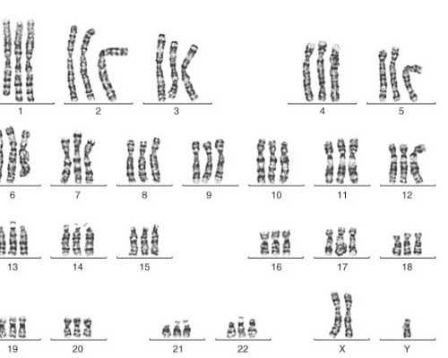 北京代孕最靠谱,论试管婴儿：北京第四医院能否称雄中国第一？
