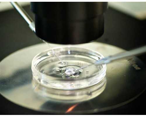 2026娄底市中心医院试管婴儿费用明细表预算5万也足够