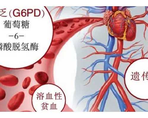 上海三代试管包生男孩医院排名前五有哪些？附费用明细？