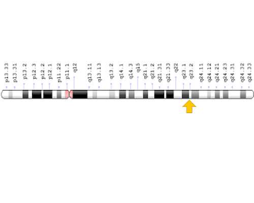 北京供精人工授精条件分析！北京供精助孕指南介绍