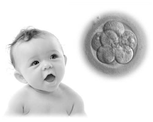 北京代怀正规公司,金贝供卵中心靠谱，暗访北京卵子交易黑市续