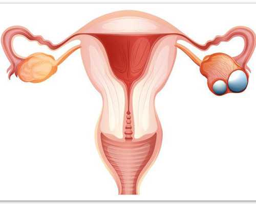 在试管婴儿成功率上为什么柬埔寨试管婴儿就是比我们国家高？ 