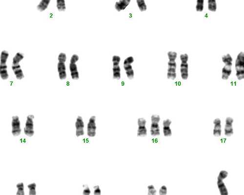 试管一代转二代，补救成功率高的背后暗藏风险