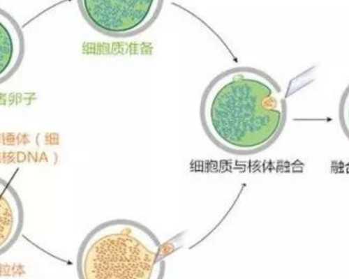 北京代孕套餐公司,北京协和医院做试管怎么样？如何提高成功率？