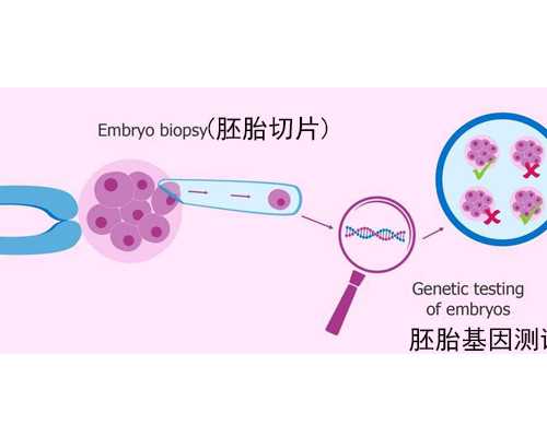 北京市正规私立助孕机构试管费用，北京正规合法的供卵试管机构有哪些?