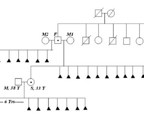 女性雌二醇低调理有方法，用对食物和药物延缓衰老更年轻