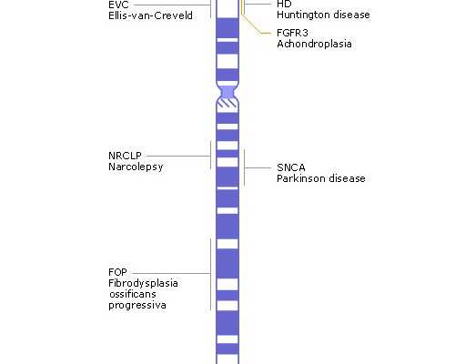 2026宁海妇幼保健院试管婴儿指引，费用估算及成功率参考