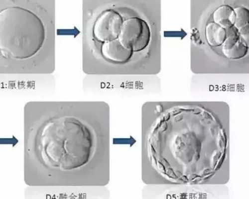代怀生子价格,最新动态：哪家医院人工受精成功率高？