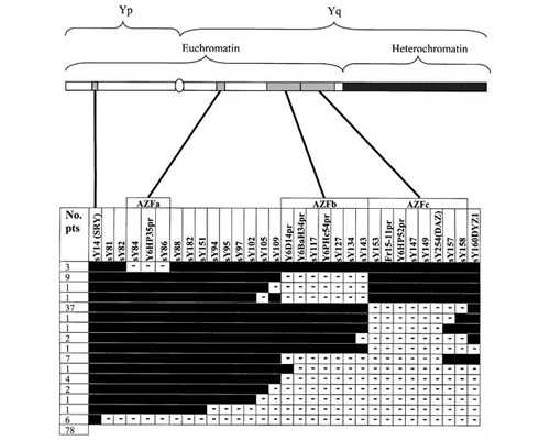 广东已有56家!不同医院试管婴儿费用及成功率详解