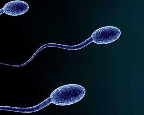 失独家庭补贴最新消息2026?附失独家庭补贴标准一览？