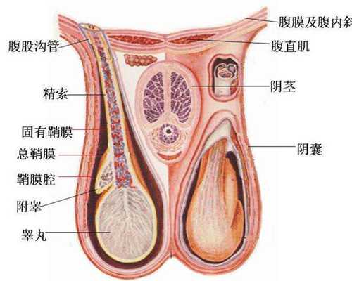 2026贵港试管婴儿医院名单分享，3招找到靠谱助孕机构