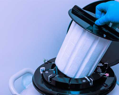 2026国内能做试管选性别的私立医院排名？附详细介绍？